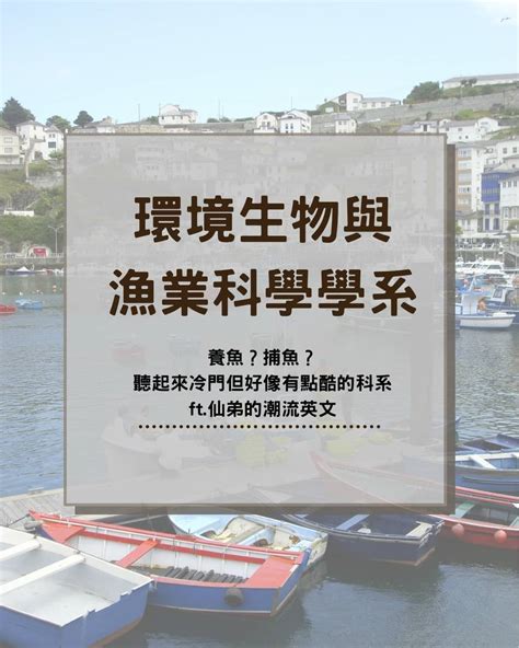 金英文名|Jin英文名意思及寓意